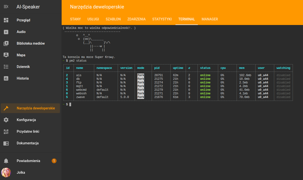 WEB console