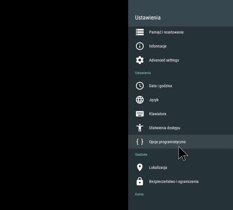 Ustawienia - Opcje programistyczne